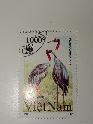 Вьетнам 1991 год. Птицы