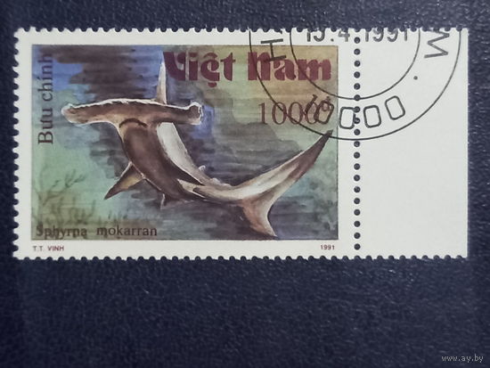 Вьетнам. 1991г. Акула