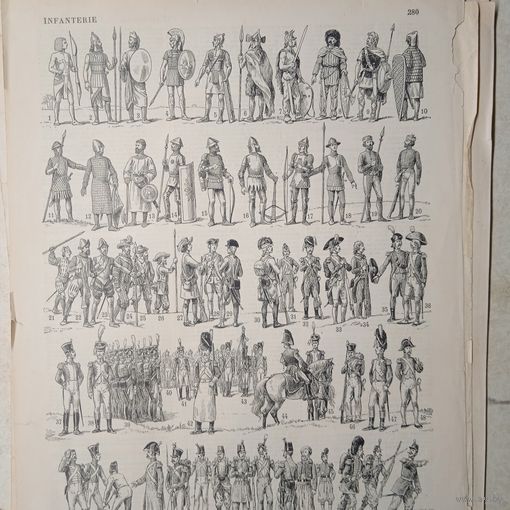 ПИХОТА.  Энциклопедическая гравюра.  кон.19в. 31х24см.  Франция .