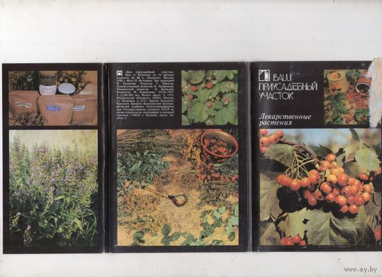 Ваш приусадебный участок. Лекарственные растения. Комплект 18 открыток. 1988