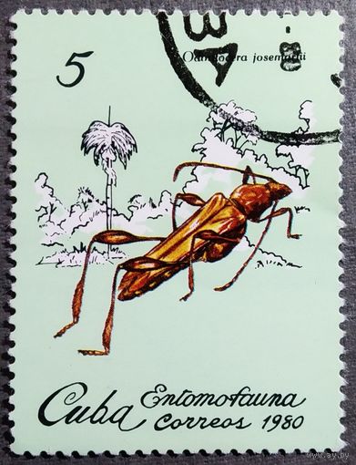 Марка Куба 1980 год Насекомые