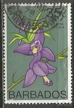 Барбадос. Орхидеи. 1974г. Mi#375.