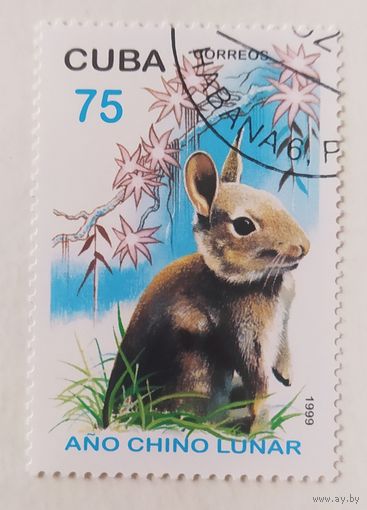 Куба 1999, грызун.