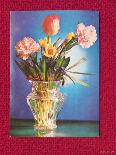 Цветы. Костенко 1979 г.