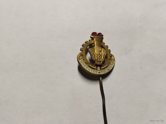 Венгрия добровольный пожарный