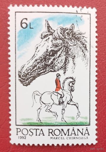 Румыния, 1992 г., лошади