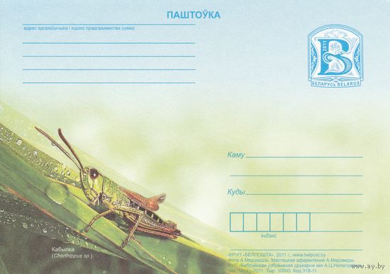 Беларусь 2011 ПК Конек (к5)