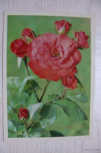 Матанов Н., Поздравляю! 1974, чистая.