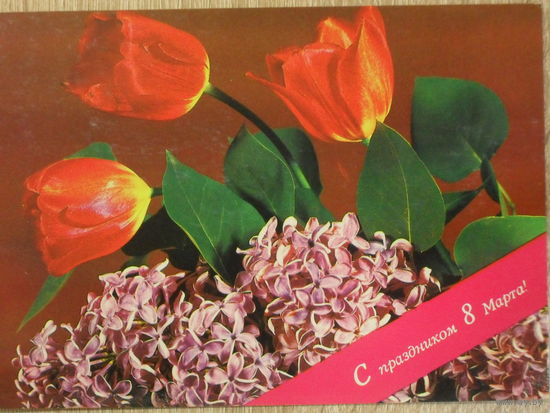 ПОДПИСАННАЯ ОТКРЫТКА СССР. ПРОШЕДШАЯ ПОЧТУ. "С ПРАЗДНИКОМ 8 МАРТА". ФОТО. Л. КУЦКО. 1982 год.