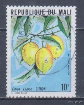[1113] Мали 1979. Флора.Фрукты.Плоды.Лимоны. Гашеная марка.