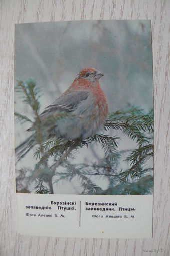 Календарик, 1988, Березинский заповедник. Птицы (снегирь).