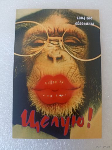 Животные, Обезьяны, 2004 год. Карманные календарики, Календарик, Календарь