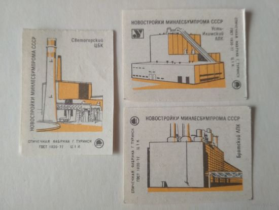 Спичечные этикетки ф.Туринск. Новостройки Минлесбумпрома СССР. 1984 год
