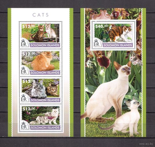 Соломоновы острова 2015 Фауна домашние кошки - 1 лист + 1 блок MNH**