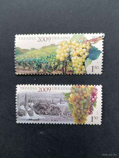 Украина 2009 Две марки "Виноградарство в Украине" (чистые**) Mi.1017-1018