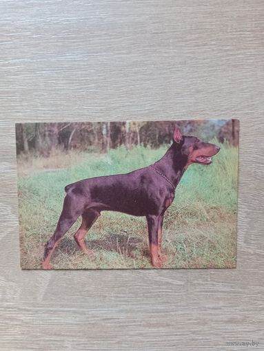 Календарик 1993