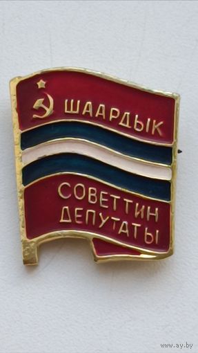 Городской депутат Киргизии.