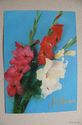 Костенко Г., 8 Марта; 1973, подписана.