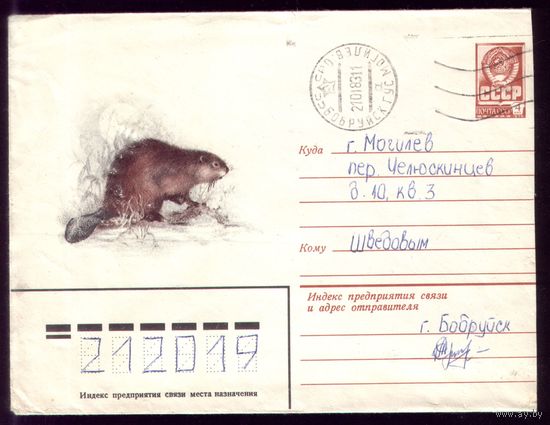 1981 год А.Исауов Бобр речной