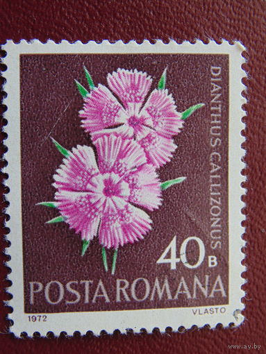 Румыния 1972г. Флора.