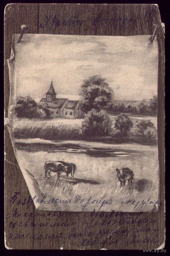 Германия Коровы