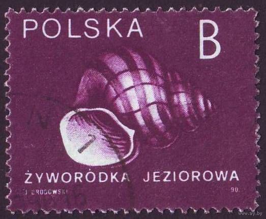 Раковины улиток Польша 1990 год 1 марка
