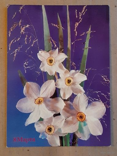 Чистая Открытка 8 Марта Дергилев 1990 г.