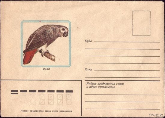 1983 год Жако