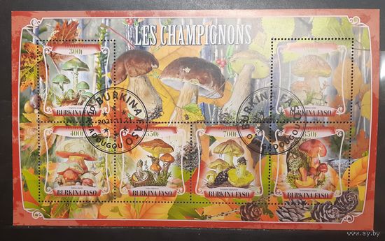 Буркина-Фасо. 2021 год. Флора. Грибы. Блок (1016)