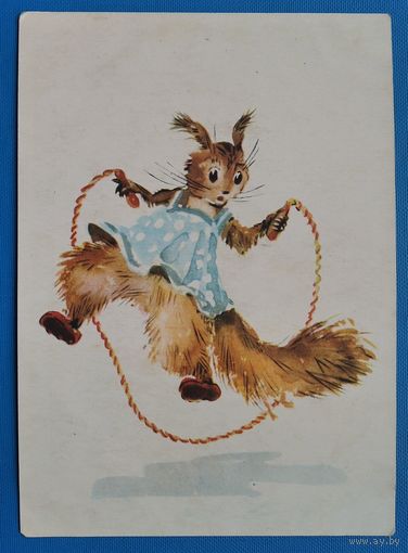 Вендер А. Белочка. 1958 г. Рига. Чистая.