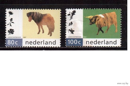 Нидерланды-1997 (Мих.1608-1609) **/*  ,   Фауна, Домашние животные, Лошади