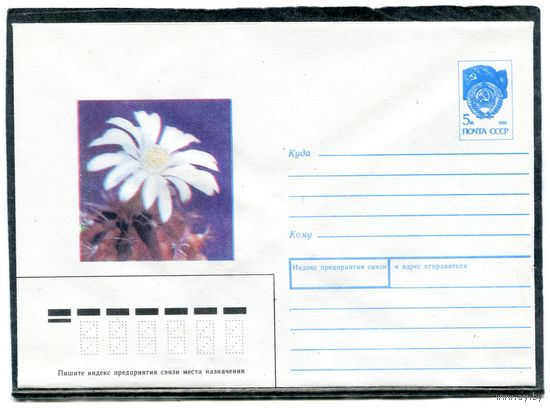 СССР 1990. ХМК. Конверт. Кактусы. Гимнокалициум Михановича