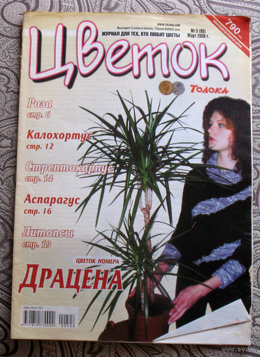 Цветок номер 5 2008, 6 2008