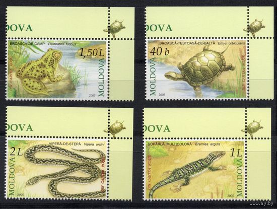 Молдова 2005. Фауна. Лягушка, черепаха, ящерица, змея. 4 марки (245)