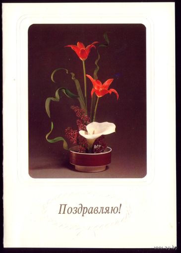 1993 год Г.Новикова Поздравляю!
