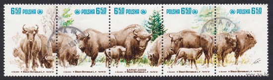 Польша. Бизоны. Сцепка. Fi - 2608-12*( Mi 2764--68*) 1981r, BISON BONASUS