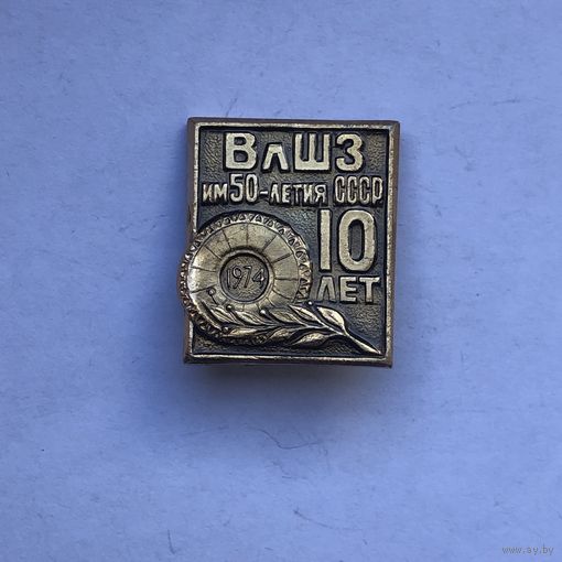 ВлШЗ 10 лет
