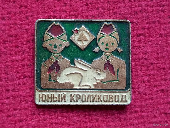 Юный Кроликовод