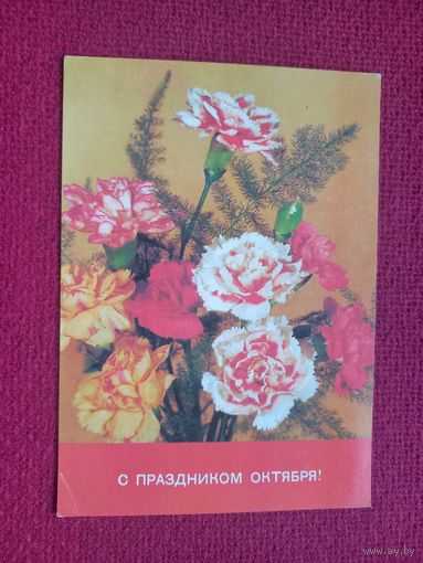 С Праздником Октября! Дергилев. 1989 г. Чистая. Кр1.