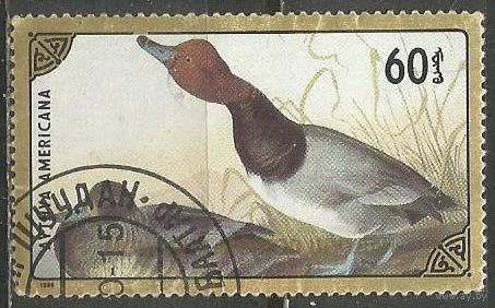 Монголия. Птицы. Американский красноголовый нырок. 1987г. Mi#1807.