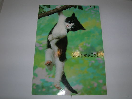 Держись Hallmark двойная подписана