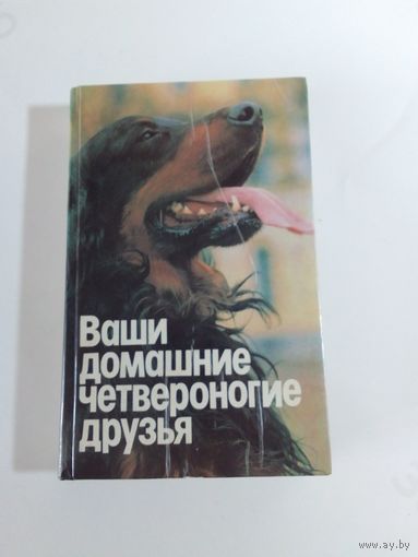 Ваши домашние четвероногие друзья
