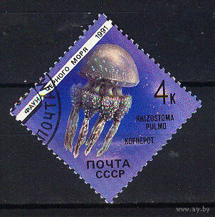 1991 СССР. Корнерот