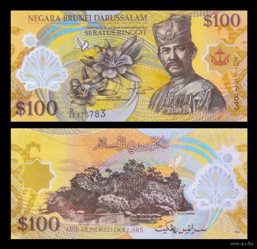 [КОПИЯ] Бруней 100 ринггит 2013г. полимерная