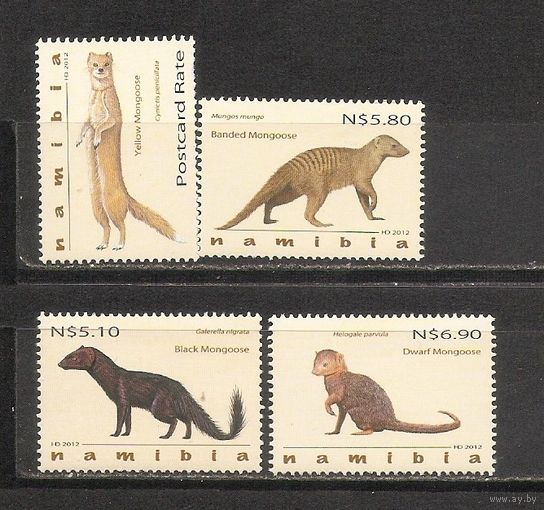 ФФ2 Намибия 2012 Фауна