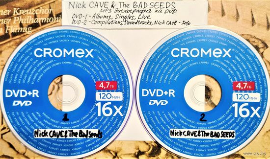 DVD MP3 дискография Nick CAVE & The BAD SEEDS (Alternative Rock, Gothic Rock, Post-Punk, Art Rock, Neoclassical) - 2 DVD
