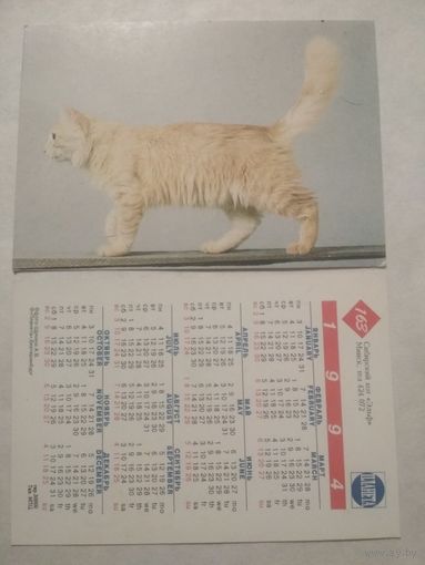 Карманный календарик. Котик.1994 год