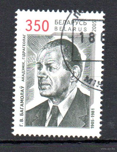 100 лет со дня рождения академика Г.В. Богомолова Беларусь 2005 год (602) серия из 1 марки