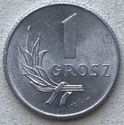 Польша 1 грош 1949 г. Состояние