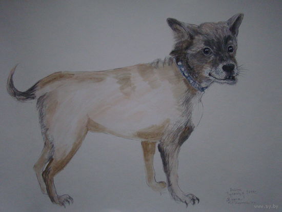 Графика ."Вера", 2014.